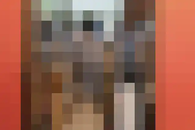 Aalscholversingel 416 Velp thumbnail 29