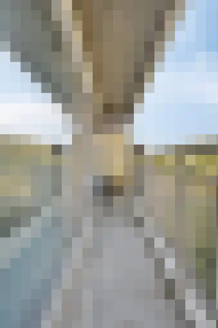 Aalscholversingel 416 Velp thumbnail 31