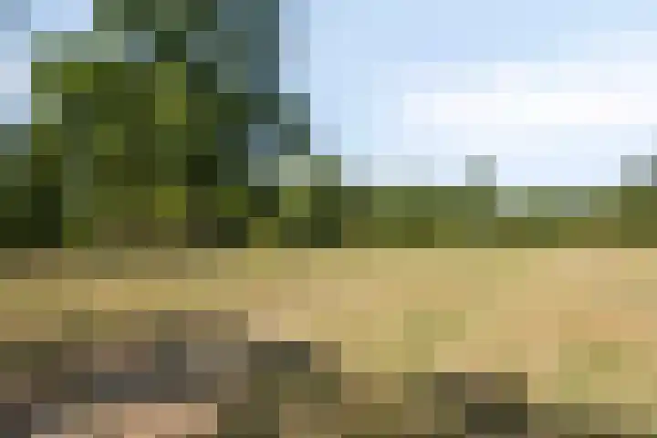 Aalscholversingel 416 Velp thumbnail 34