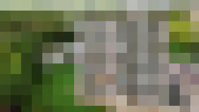 Aalscholversingel 416 Velp thumbnail 35
