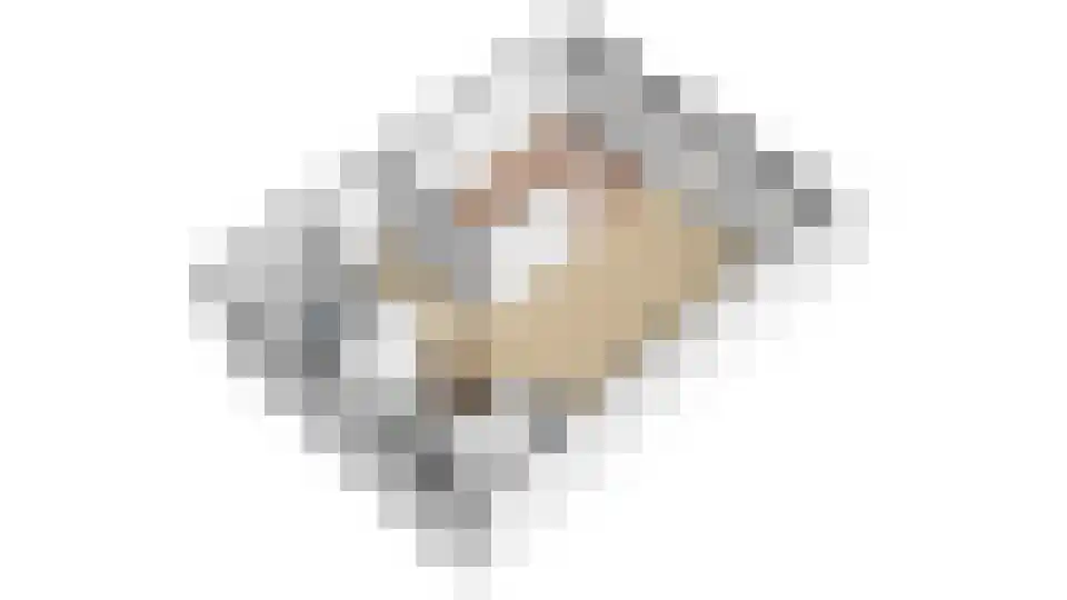 Aalscholversingel 416 Velp thumbnail 44