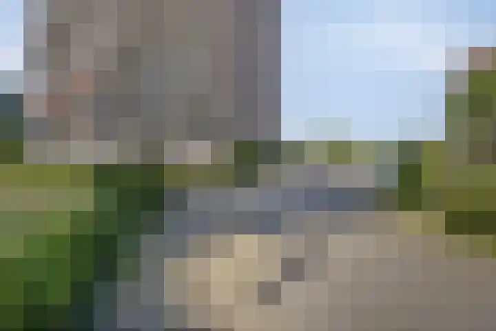 Aalscholversingel 416 Velp thumbnail 6