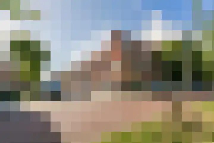 Aalscholversingel 42 Velp thumbnail 16