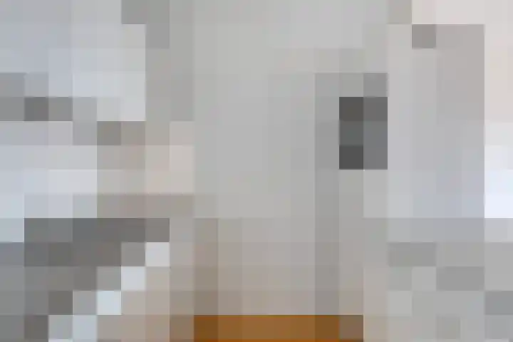 Aalscholversingel 42 Velp thumbnail 20