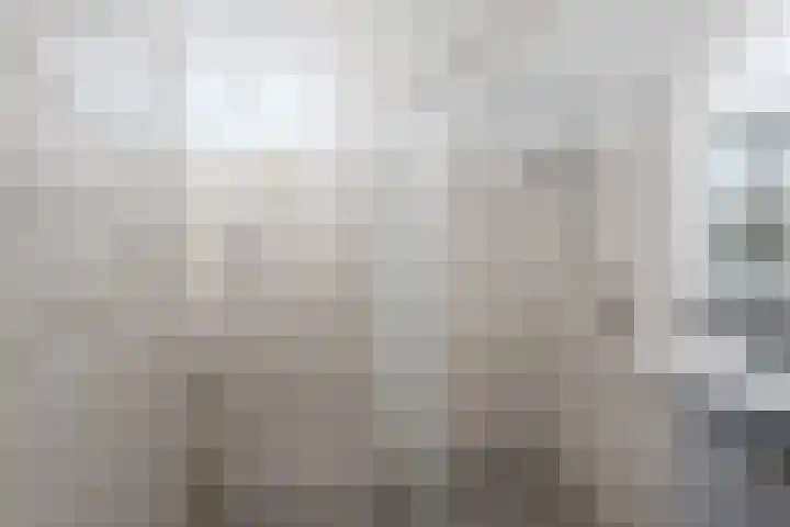 Aalscholversingel 42 Velp thumbnail 28