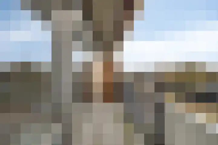 Aalscholversingel 42 Velp thumbnail 29