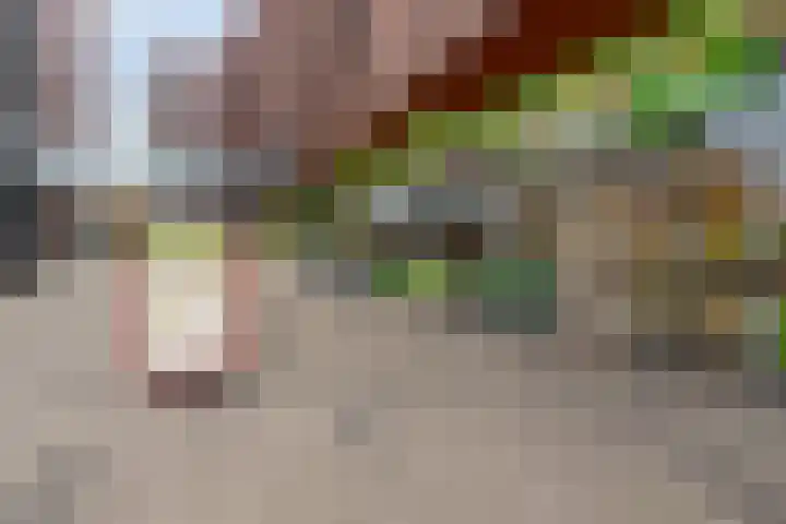 Aalscholversingel 42 Velp thumbnail 32