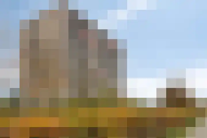 Aalscholversingel 42 Velp thumbnail 33
