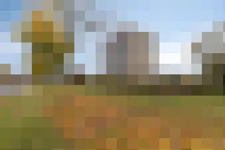 Aalscholversingel 42 Velp thumbnail 35
