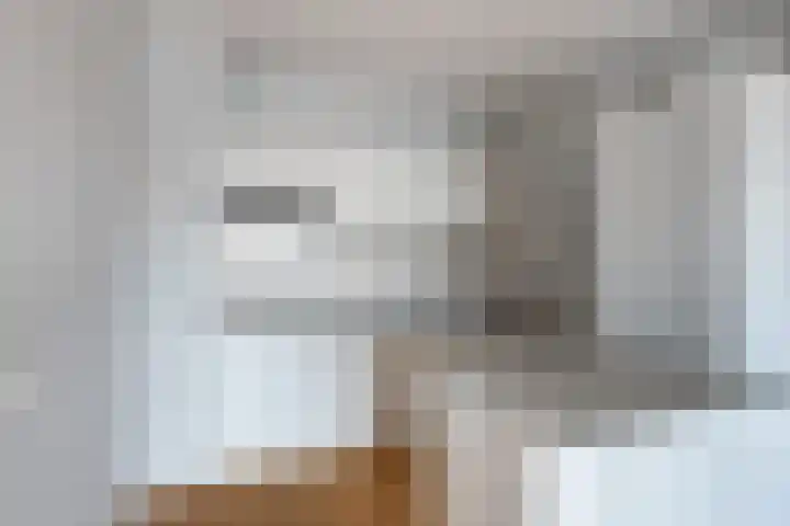 Aalscholversingel 42 Velp thumbnail 4