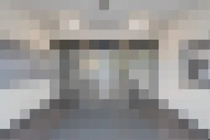 Aalscholversingel 42 Velp thumbnail 6