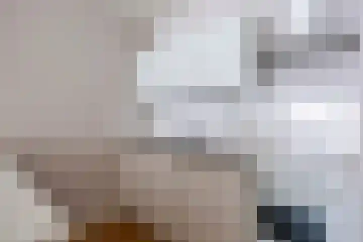 Aalscholversingel 428 Velp thumbnail 11