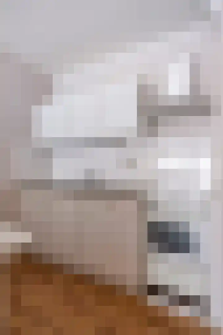 Aalscholversingel 428 Velp thumbnail 12