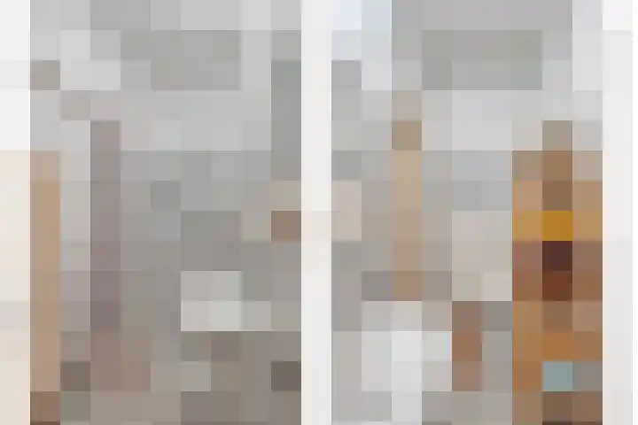 Aalscholversingel 428 Velp thumbnail 6