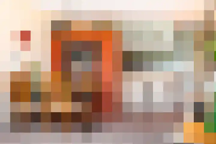 Aalscholversingel 438 Velp thumbnail 18