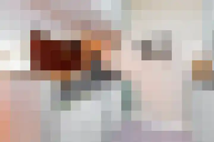 Aalscholversingel 438 Velp thumbnail 21