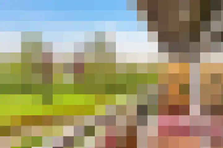 Aalscholversingel 438 Velp thumbnail 22