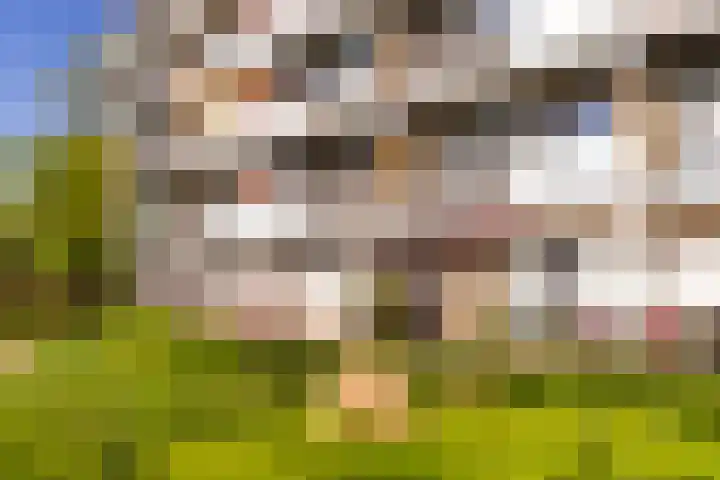 Aalscholversingel 438 Velp thumbnail 5