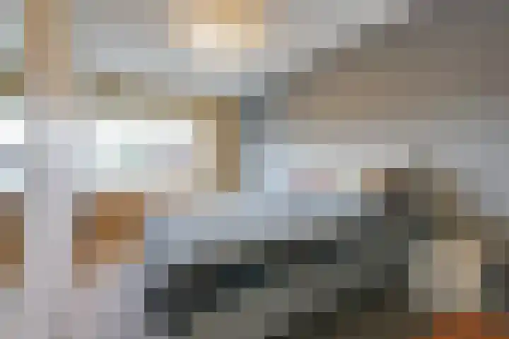 Aalscholversingel 448 Velp thumbnail 11