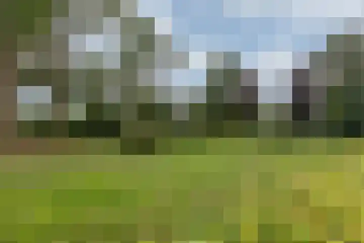 Aalscholversingel 448 Velp thumbnail 19
