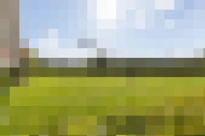 Aalscholversingel 448 Velp thumbnail 20