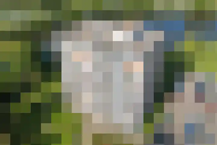Aalscholversingel 450 Velp