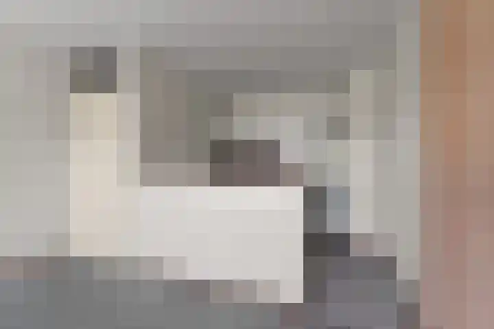 Aalscholversingel 450 Velp thumbnail 11