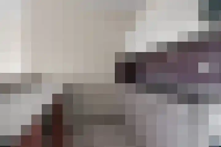 Aalscholversingel 450 Velp thumbnail 13