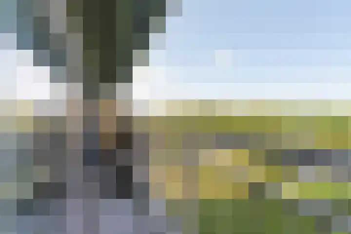 Aalscholversingel 450 Velp thumbnail 16