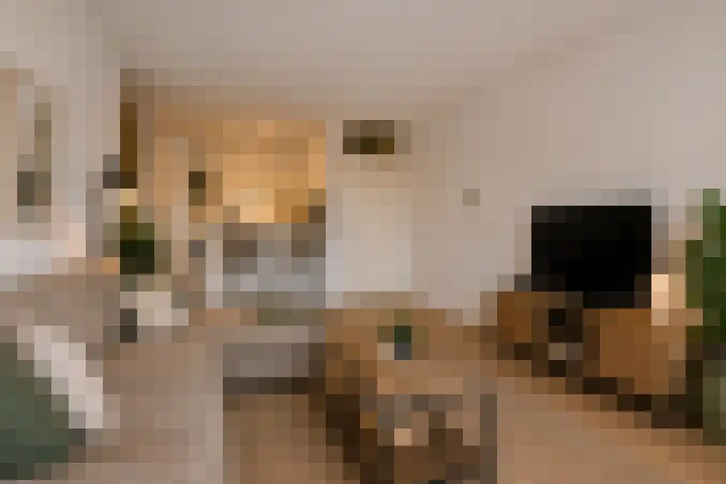 Aalscholversingel 454 Velp thumbnail 11