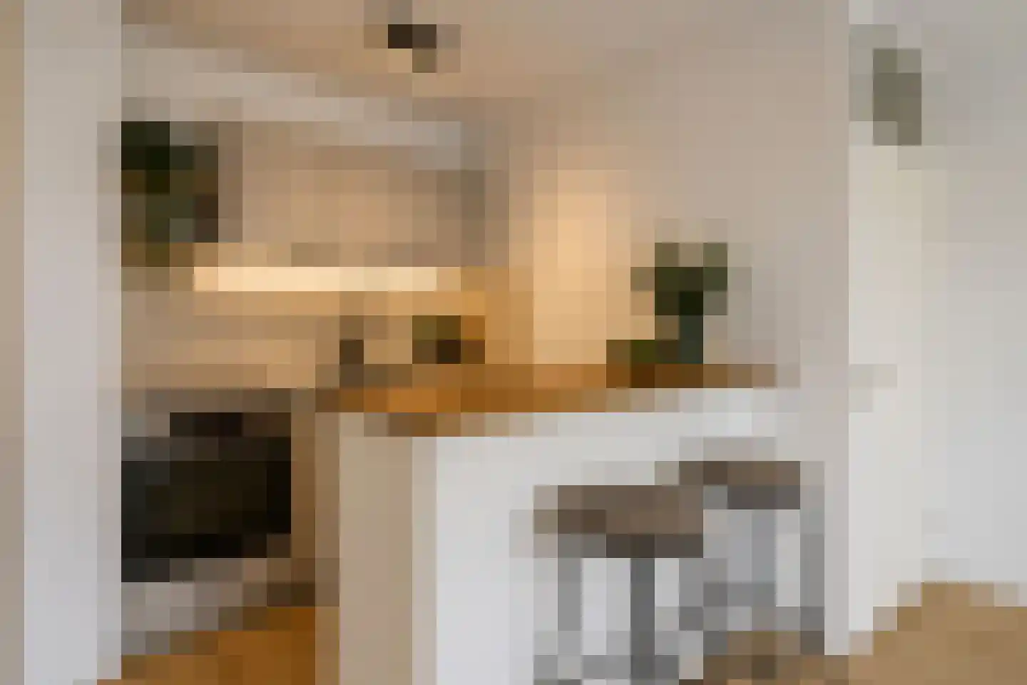 Aalscholversingel 454 Velp thumbnail 13