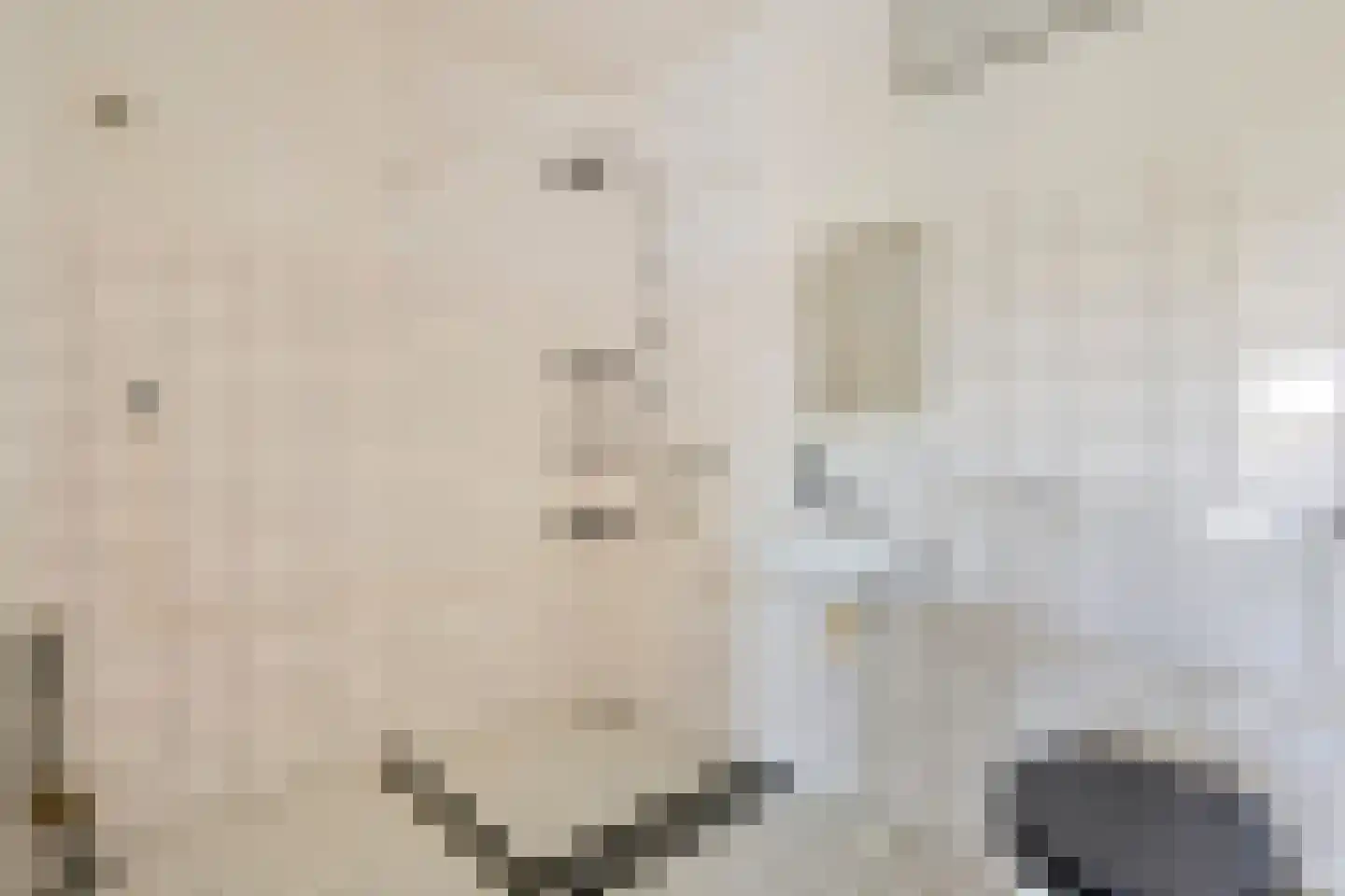 Aalscholversingel 454 Velp thumbnail 20