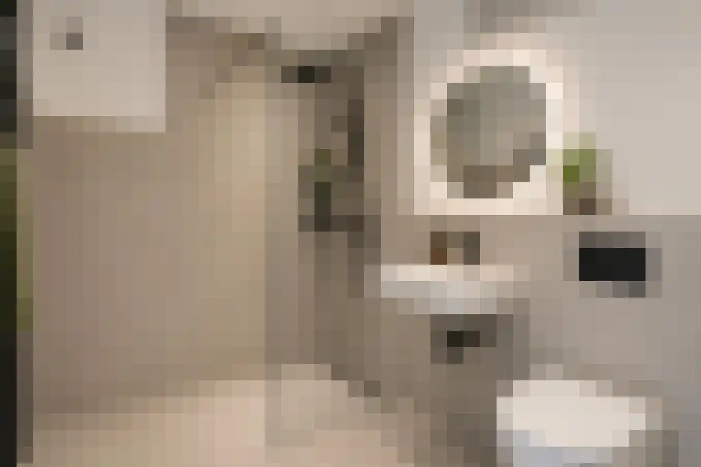 Aalscholversingel 454 Velp thumbnail 21