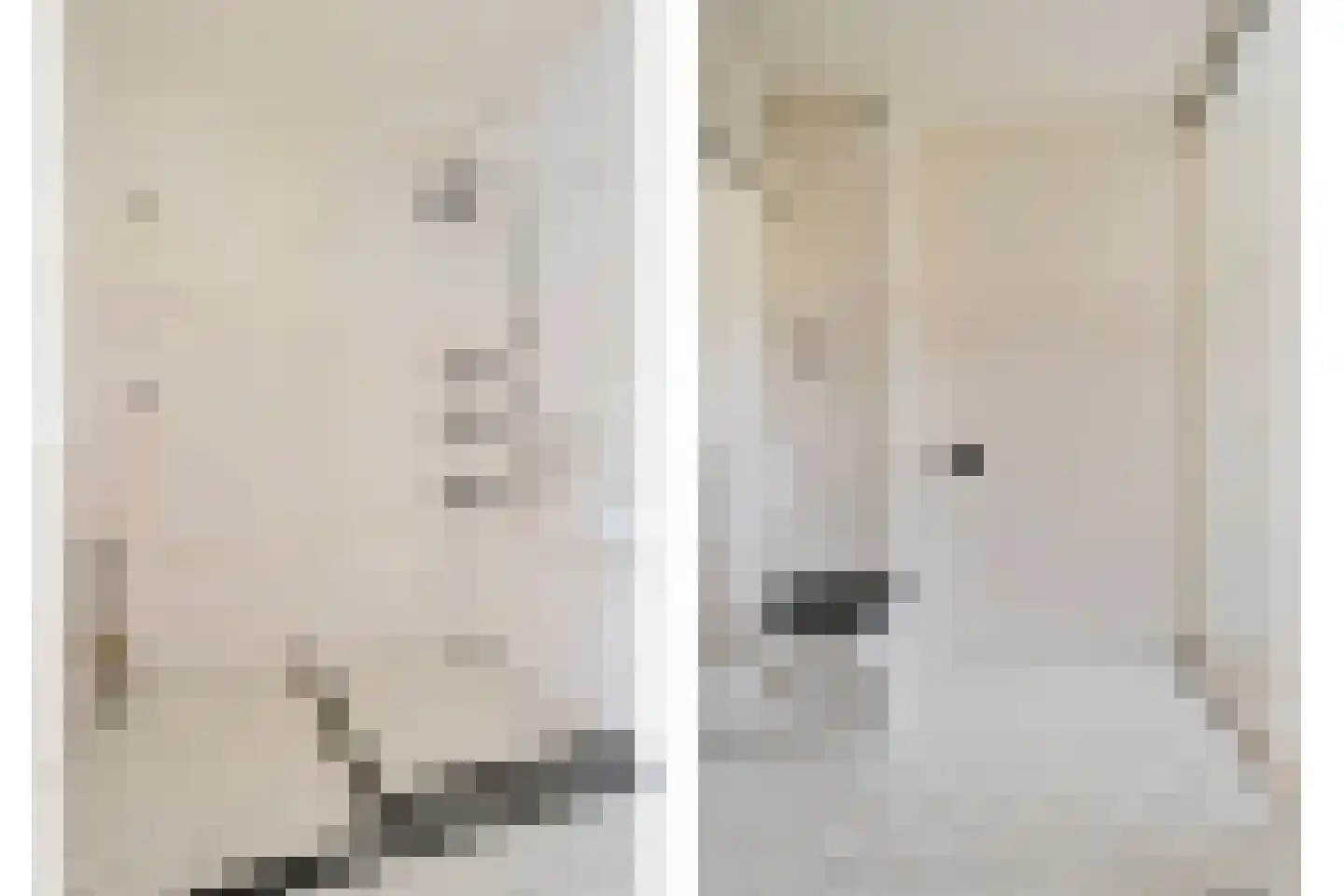 Aalscholversingel 454 Velp thumbnail 22
