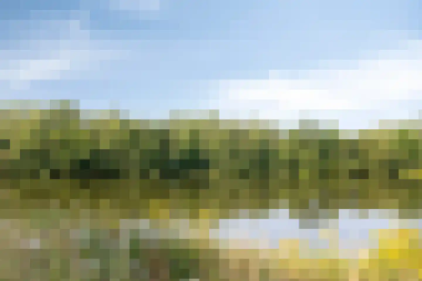 Aalscholversingel 454 Velp thumbnail 24