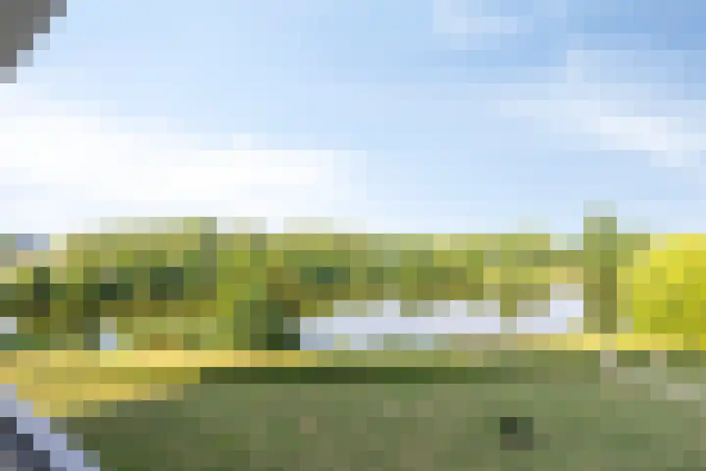 Aalscholversingel 454 Velp thumbnail 9