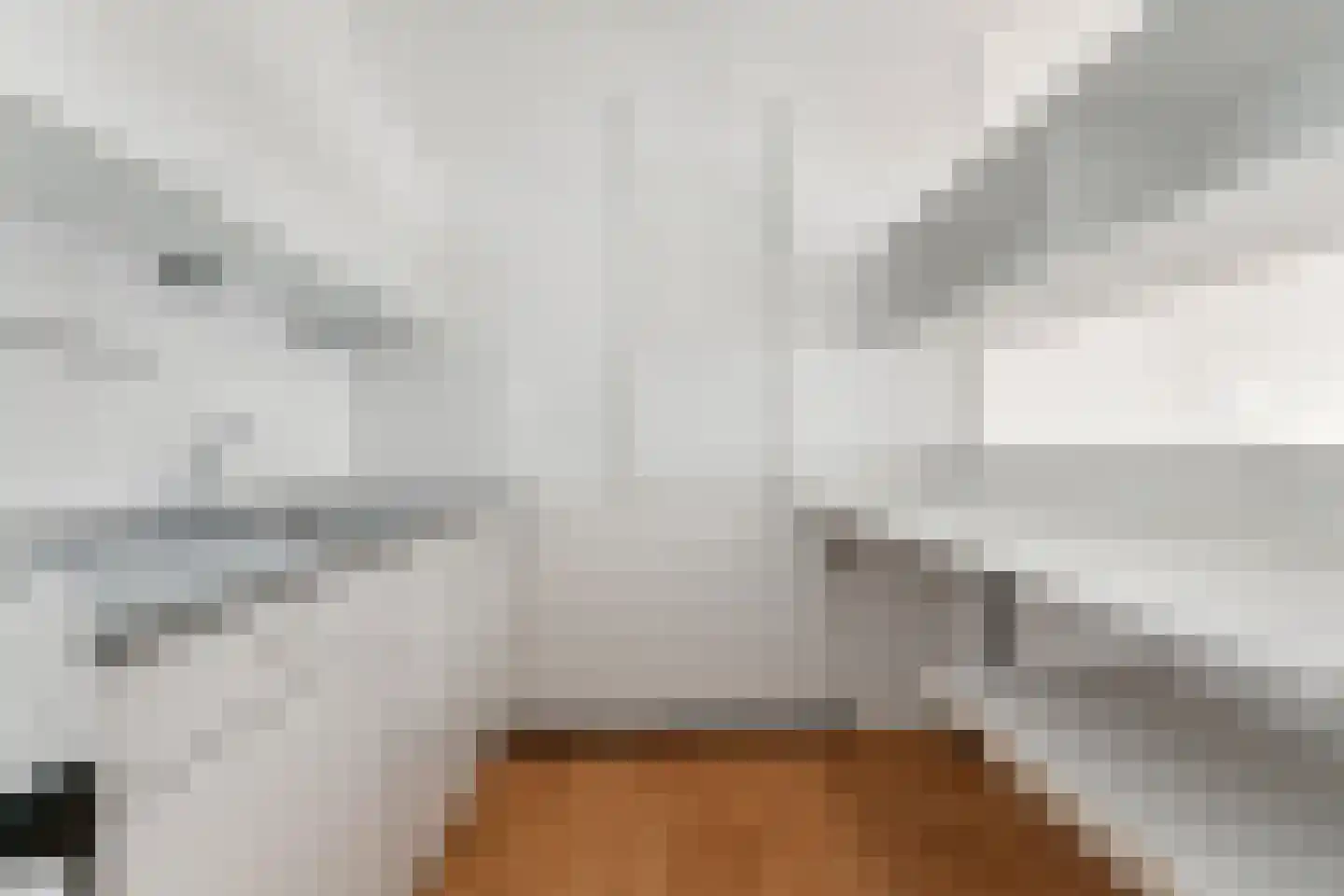 Aalscholversingel 458 Velp thumbnail 11