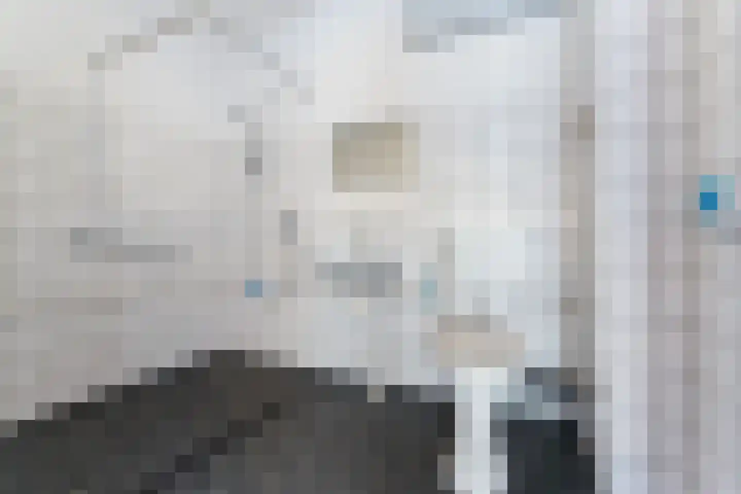 Aalscholversingel 458 Velp thumbnail 14