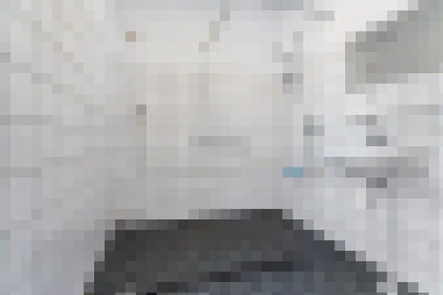 Aalscholversingel 458 Velp thumbnail 15