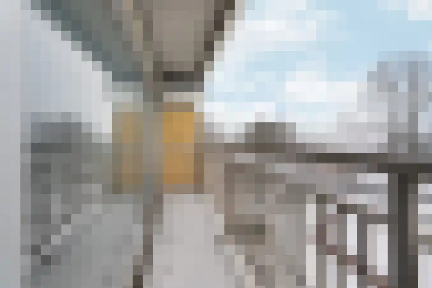 Aalscholversingel 458 Velp thumbnail 7