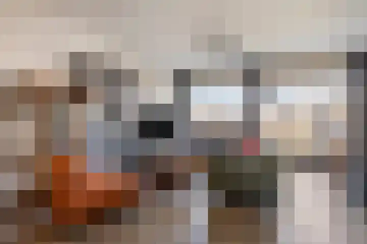 Aalscholversingel 46 Velp thumbnail 10