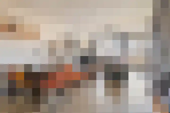 Aalscholversingel 46 Velp thumbnail 13