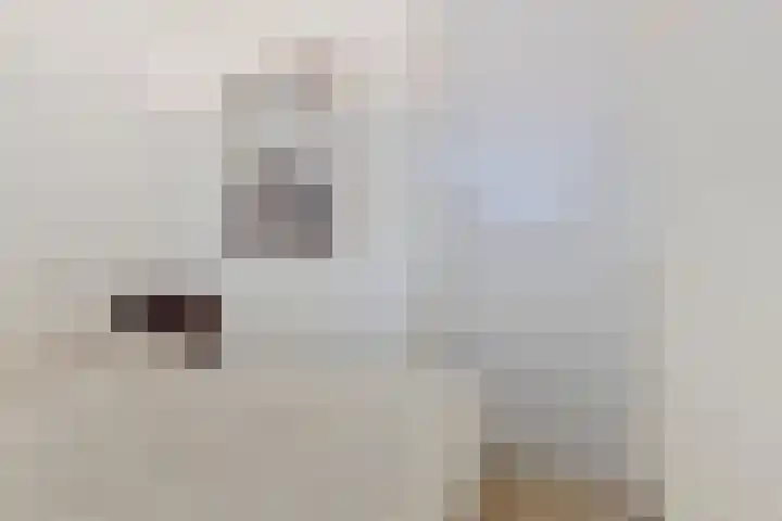 Aalscholversingel 46 Velp thumbnail 20