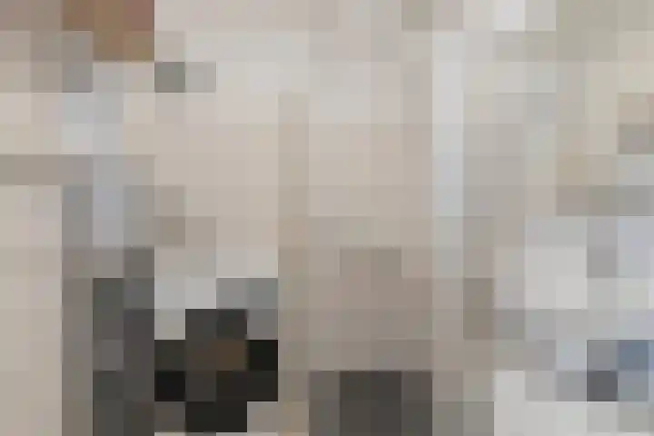 Aalscholversingel 46 Velp thumbnail 22