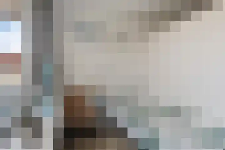 Aalscholversingel 46 Velp thumbnail 23