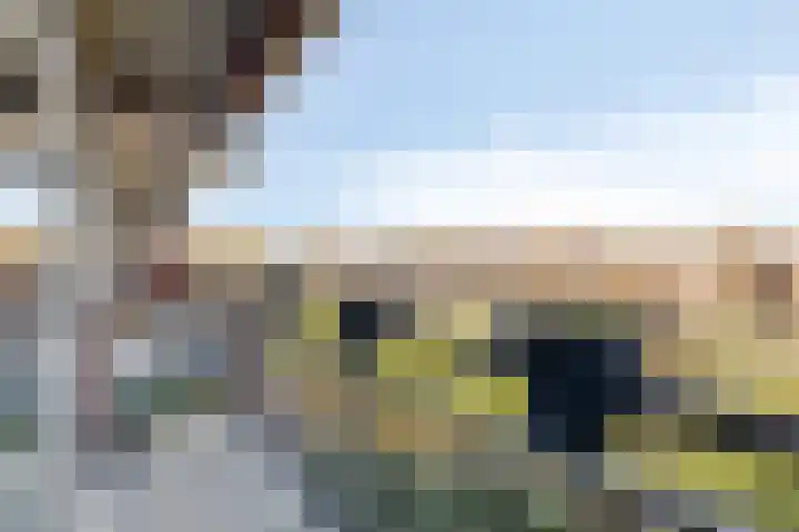 Aalscholversingel 46 Velp thumbnail 25