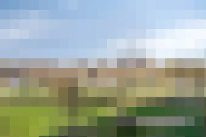 Aalscholversingel 46 Velp thumbnail 27