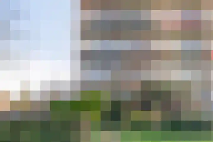 Aalscholversingel 46 Velp thumbnail 29