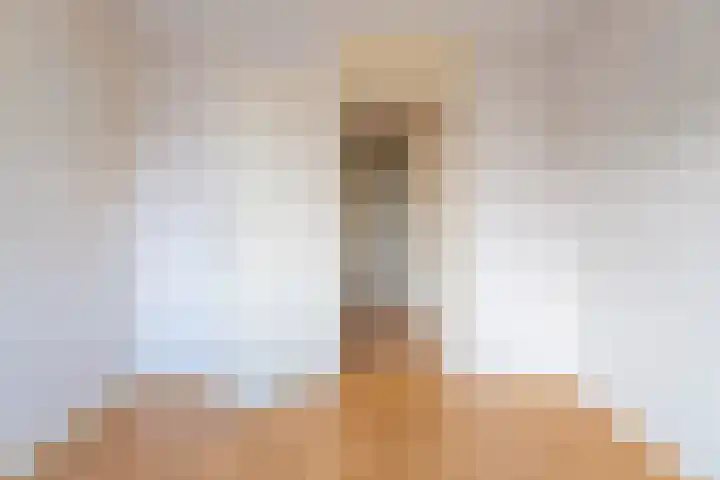 Aalscholversingel 46 Velp thumbnail 32
