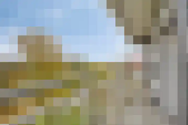 Aalscholversingel 462 Velp thumbnail 11